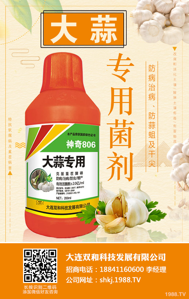 大蒜重茬病害如何防治？大蒜重茬病害防治技巧