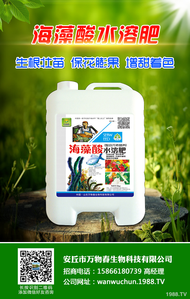 秋播小麥怎么提高質(zhì)量？秋播小麥提高質(zhì)量六要點