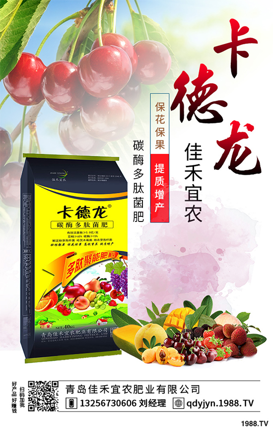 白菜不包心的原因？白菜結(jié)球包心期的管理要點