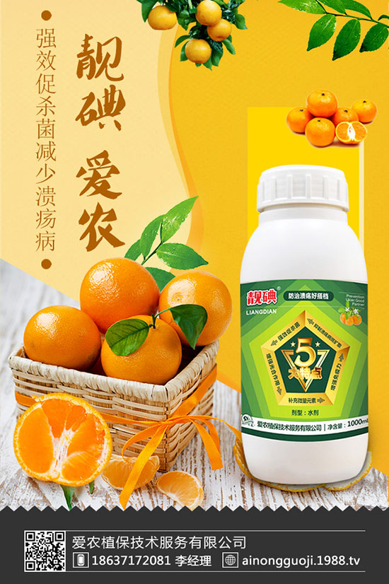 西蘭花如何種植？西蘭花種植時間及方法！