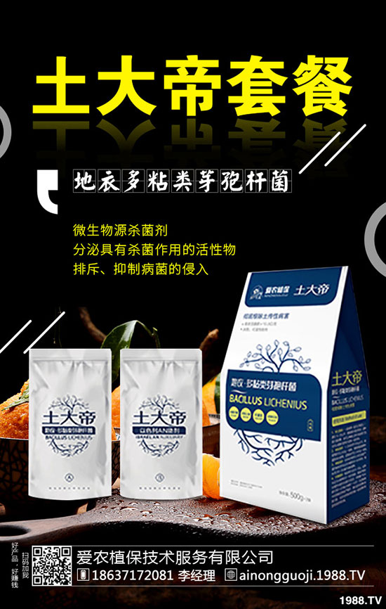 九月份可以種什么蔬菜？2019年9月蔬菜種植指南!
