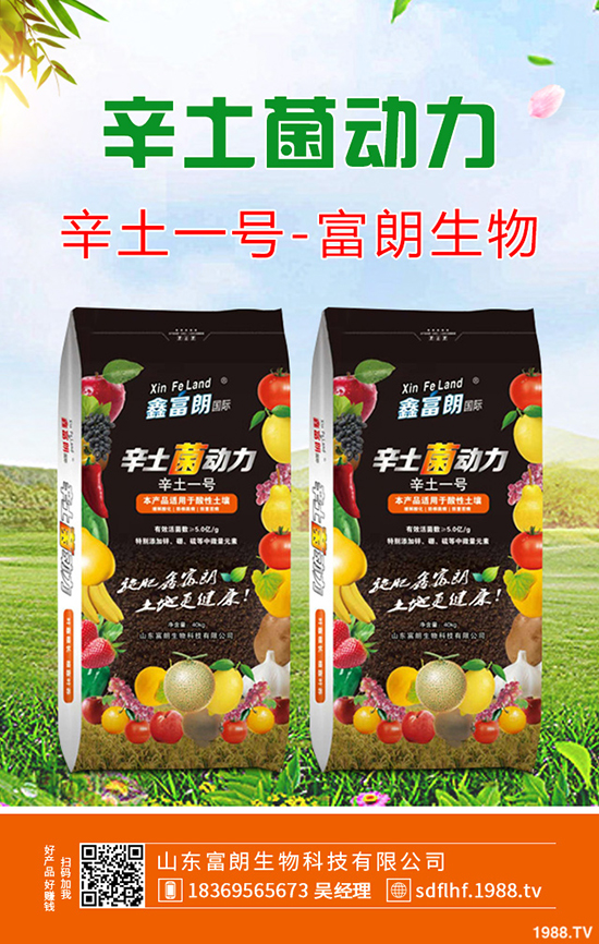     桃樹秋季帶葉修剪好處及什么時(shí)間修剪合適？桃樹秋季修剪技術(shù)！