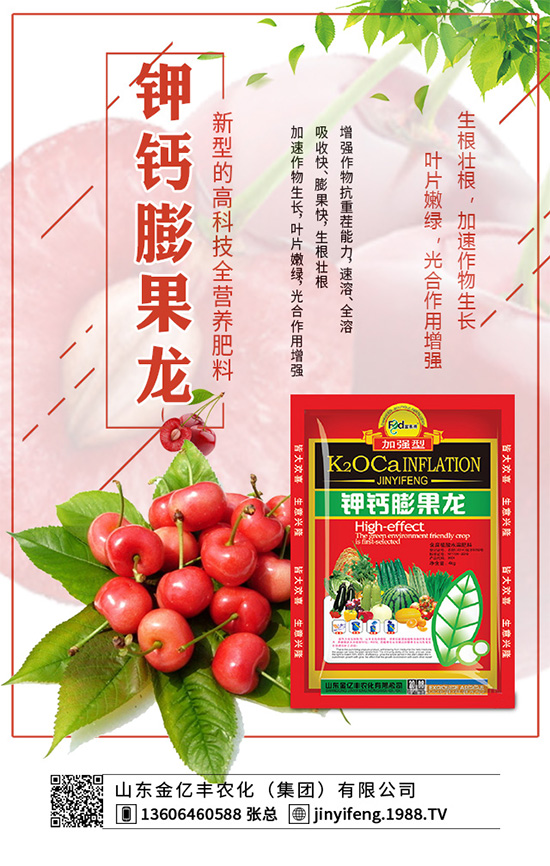     萵苣種植在我國(guó)有春茬與秋茬之分，分別使用不同的品種。秋茬品種在較高的溫度條件下，也能形成蓮座葉，然后長(zhǎng)出粗大的莖。那么，萵苣的品種有哪些？怎么種植才好呢？