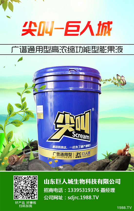     萵苣種植在我國(guó)有春茬與秋茬之分，分別使用不同的品種。秋茬品種在較高的溫度條件下，也能形成蓮座葉，然后長(zhǎng)出粗大的莖。那么，萵苣的品種有哪些？怎么種植才好呢？