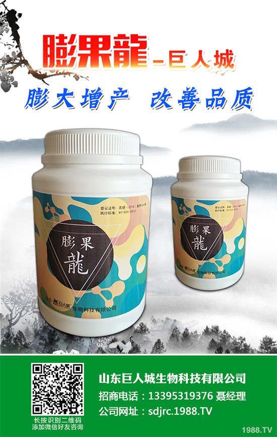 萵苣該如何施肥？萵苣的高產施肥技術有哪些？這些方法很重要！