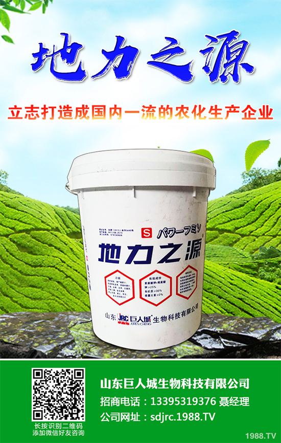 萵苣該如何施肥？萵苣的高產施肥技術有哪些？這些方法很重要！