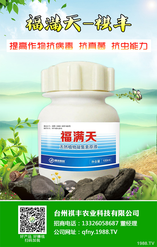 吃萵苣有哪些好處？常見(jiàn)萵苣的做法