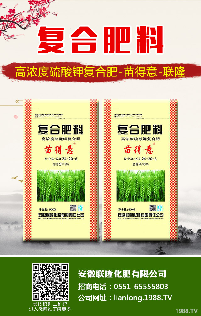 蘇鐵葉黃枯問題怎么解決？蘇鐵葉黃枯解決方法
