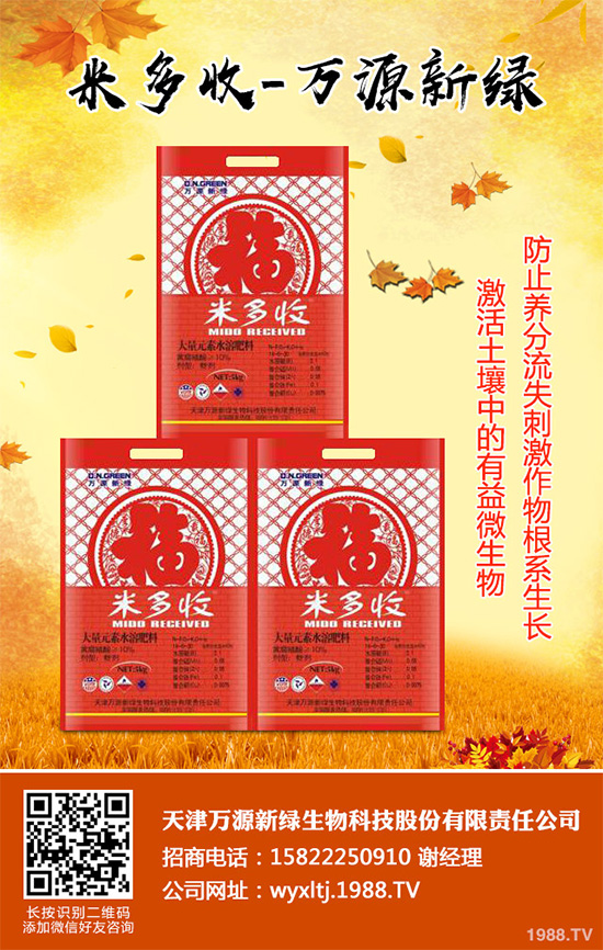 萵苣霜霉病危害這么大，你知道該如何防治嗎？萵苣霜霉病防治方法