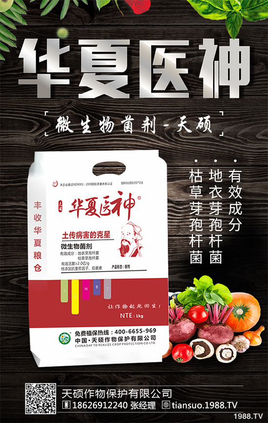     萵苣灰霉病有哪些危害癥狀？是如何引起的？快來(lái)看看吧！