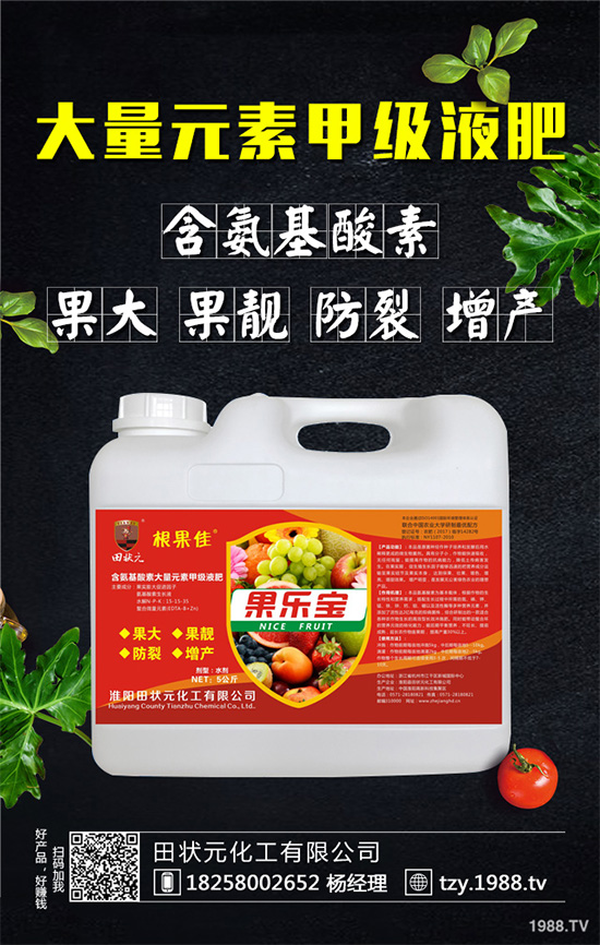     萵苣灰霉病有哪些危害癥狀？是如何引起的？快來(lái)看看吧！