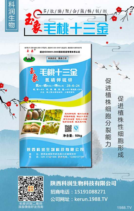     大蔥秋季什么時間種植合適？大蔥秋季種植時間及種植技術(shù)！