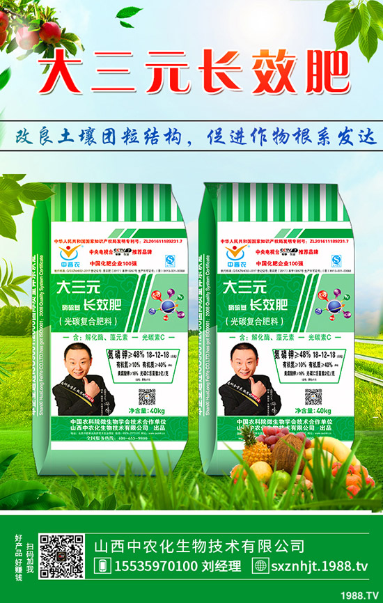     秋季大蔥如何管理？秋季大蔥種植管理方法及技術(shù)！