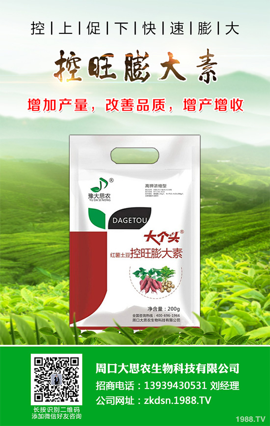 萵苣炭疽病危害這么大，到底該如何防治？萵苣炭疽病的防治方法