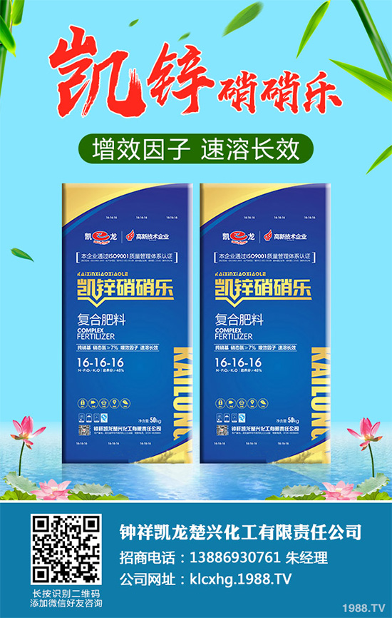     萵苣黑斑病是如何發(fā)生的？有哪些危害？萵苣黑斑病防治措施