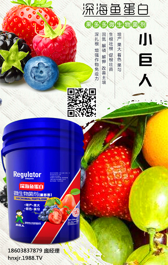 紅薯怎么種植？紅薯種植的高產(chǎn)管理要點(diǎn) 