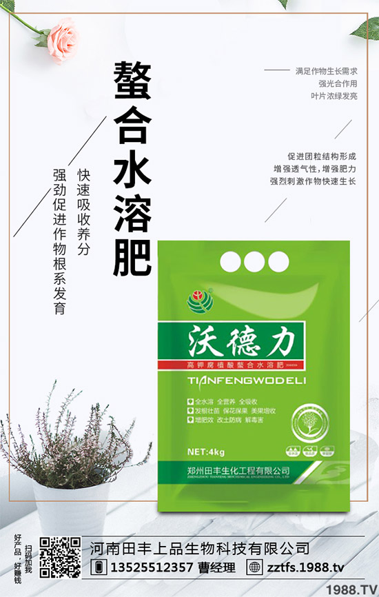 卷心菜有哪些營養(yǎng)價值？吃卷心菜有哪些好處？教你吃出健康！