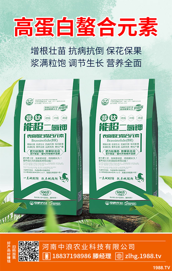 露地卷心菜什么時候種植？露地卷心菜種植技術(shù)大全