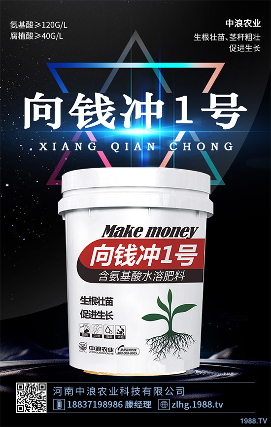 露地卷心菜什么時候種植？露地卷心菜種植技術(shù)大全