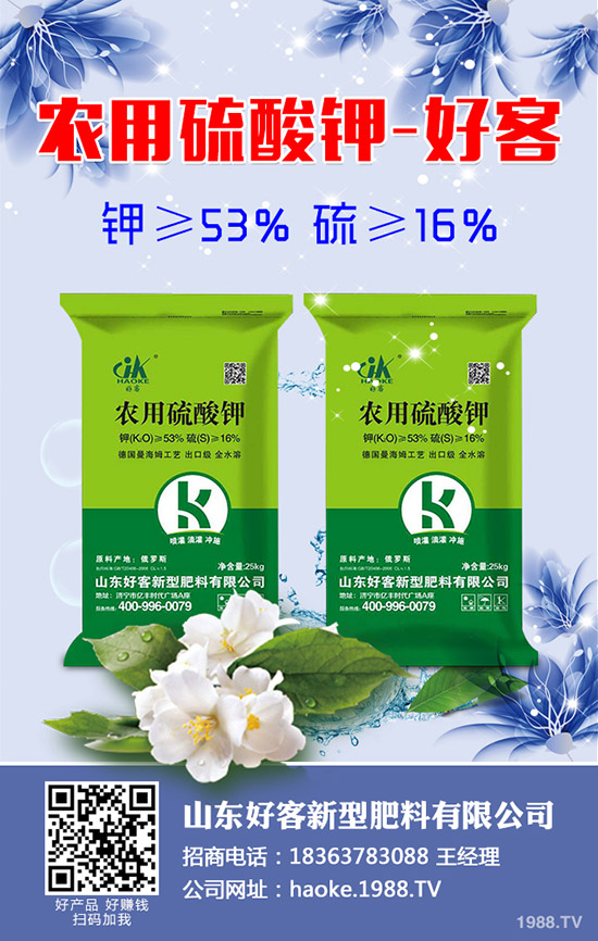 黃瓜什么時(shí)候種植？黃瓜高產(chǎn)種植技術(shù)有哪些？