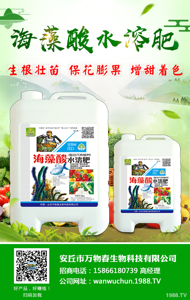 蔬菜怎么管理？低溫陰雨天氣蔬菜管理技巧