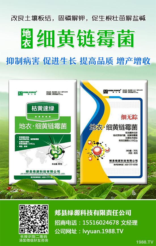 九月種什么蔬菜比較好？2019年9月蔬菜種植指南
