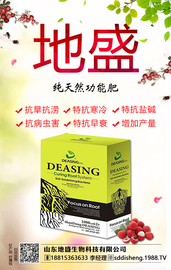 油茶樹的種植管理方法，油茶樹的經(jīng)濟(jì)價(jià)值如何？
