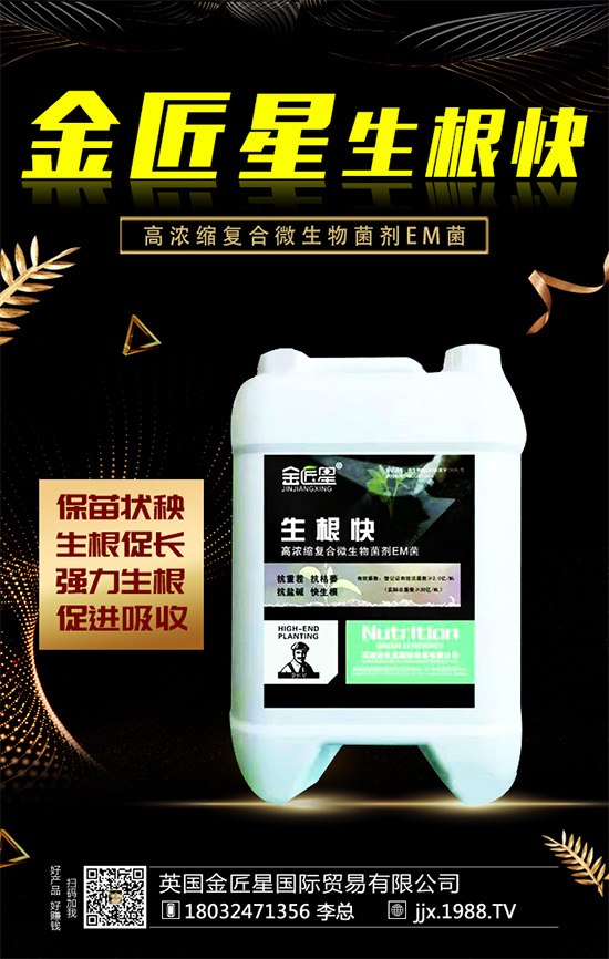 油茶樹的生長特性，油茶樹怎么種植？