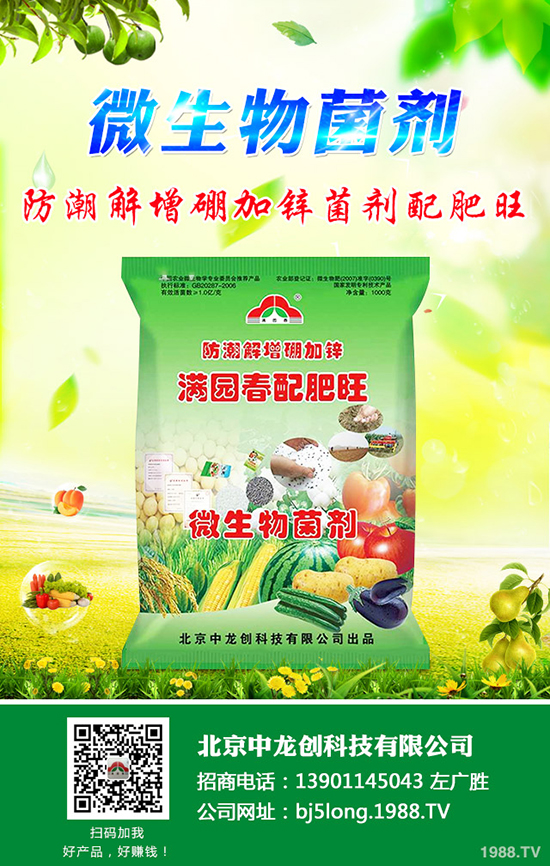 柑橘什么時候種植更好？柑橘的栽培要點有哪些？