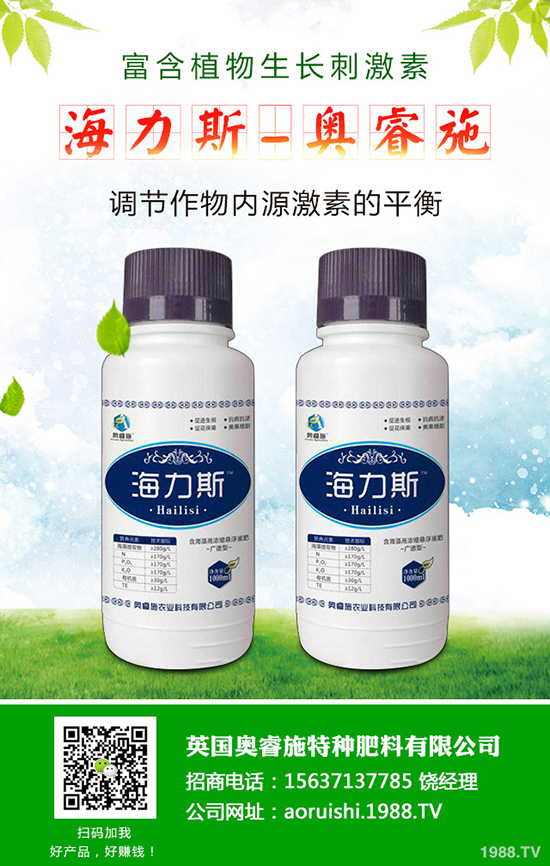 韭菜什么時候種植更好，韭菜種植時間和栽培技術