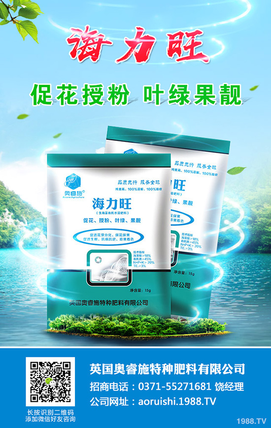 現(xiàn)在種植沙糖桔還賺錢嗎？沙糖桔種植技術(shù)大全