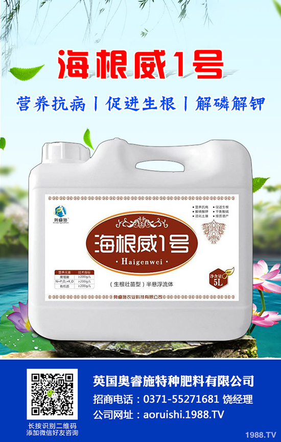 如何種植羊角蜜才能高產(chǎn)？羊角蜜種植時(shí)間和種植方法