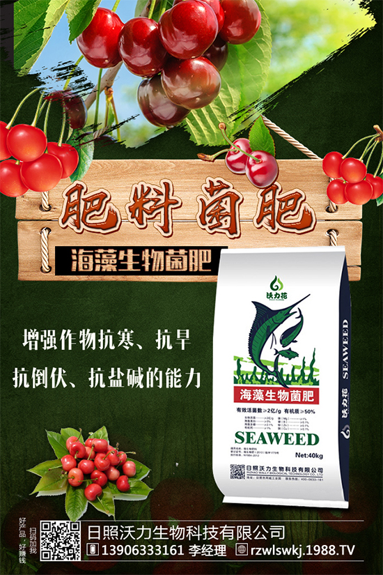 土豆怎么施肥？施什么肥料？土豆施肥要點(diǎn)！