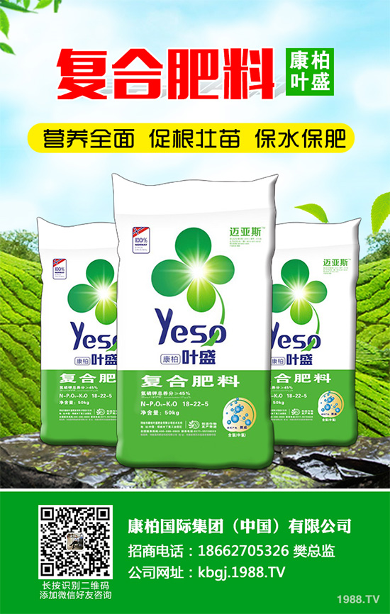 芹菜斑枯病有哪些危害癥狀？芹菜斑枯病的危害及防治
