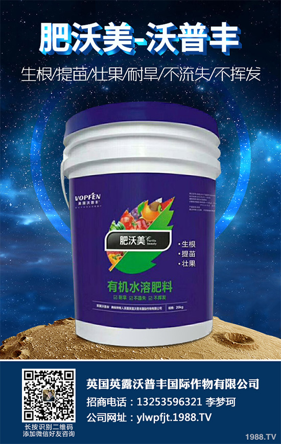 芹菜斑枯病有哪些危害癥狀？芹菜斑枯病的危害及防治