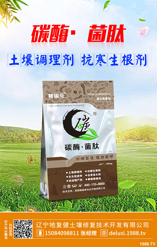     芹菜斑枯病有哪些危害癥狀？芹菜斑枯病的危害及防治