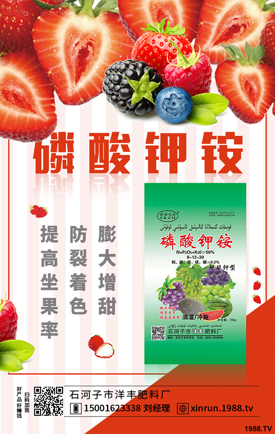 榨菜要高產(chǎn)，合理種植是關(guān)鍵！榨菜高產(chǎn)栽培看這里！