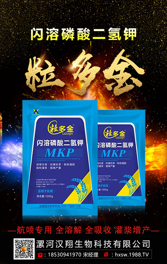 柚子如何種植拔高產(chǎn)量呢？柚子的科學(xué)種植方法！