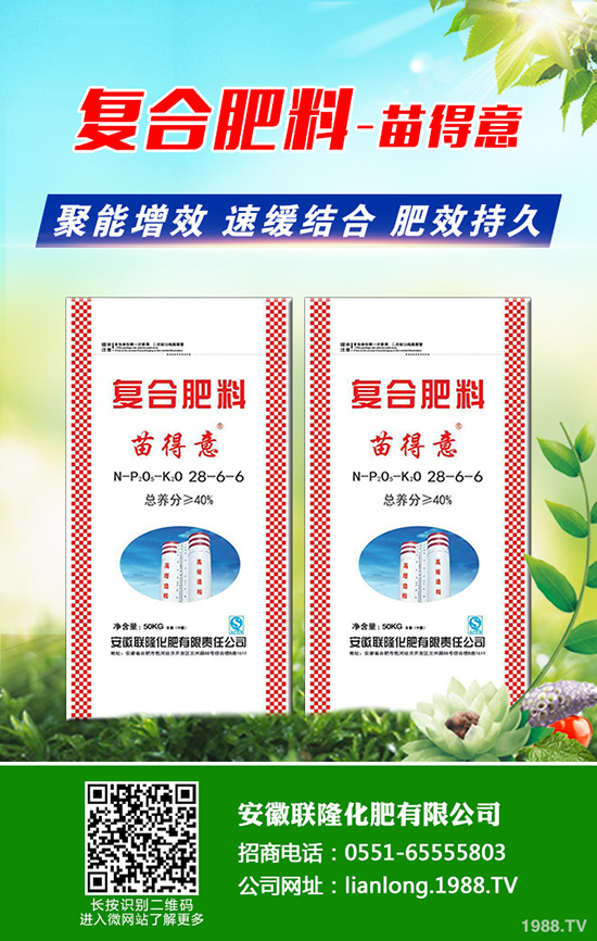 八角楓產(chǎn)地在哪？八角楓怎么種植？