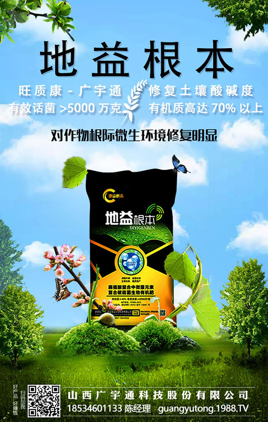 生菜種植三注意，溫度、育苗和管理