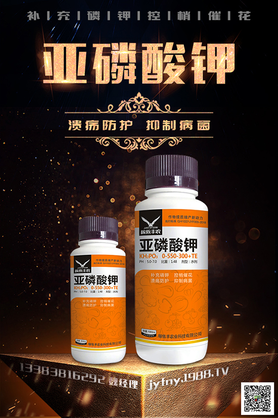 2020種黑番茄賺錢嗎？黑番茄的種植方法有哪些？