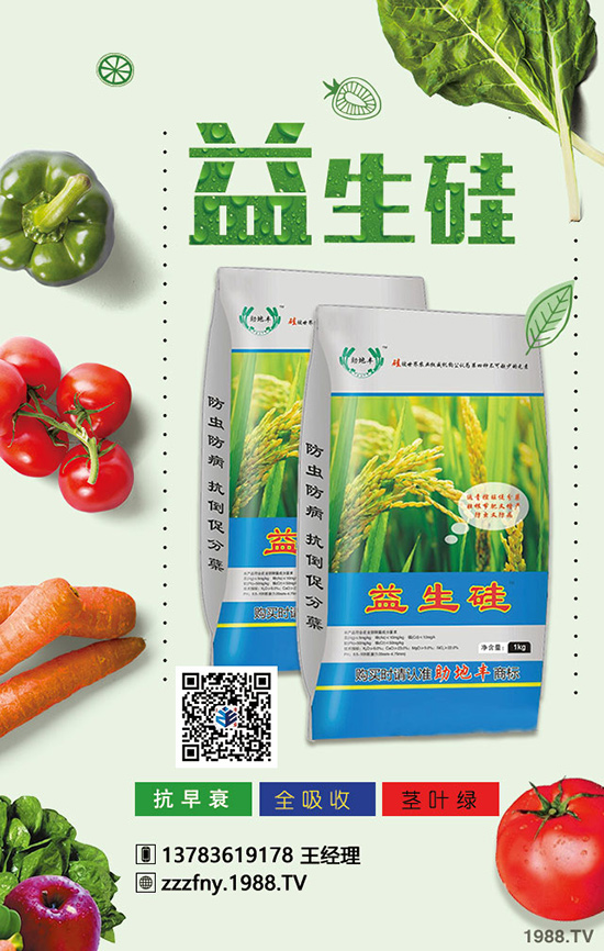 卷心菜好吃又不貴，但卷心菜施肥增產(chǎn)有方法