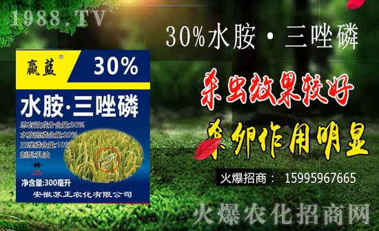 水稻鉆心蟲防治難點(diǎn)有哪些？水稻鉆心蟲危害及防治要點(diǎn)！