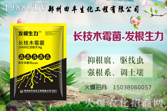 小麥漲價(jià)了！今日小麥價(jià)格穩(wěn)中偏強(qiáng)，部分地區(qū)繼續(xù)上漲！