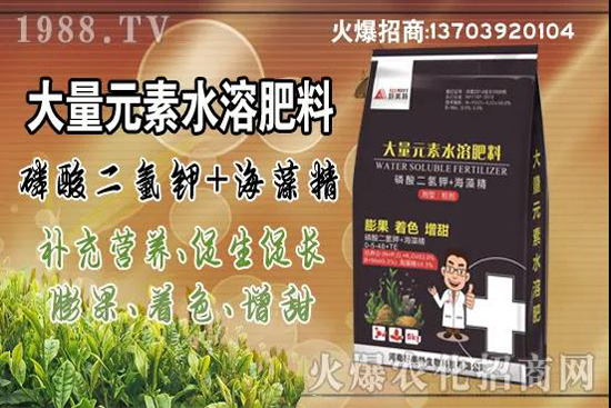 蔬菜旺長有哪些危害？秋茬蔬菜控旺三要點！