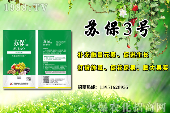 大棚黃瓜應(yīng)該在什么時(shí)候施肥？大棚黃瓜底肥施用的3個(gè)誤區(qū)！