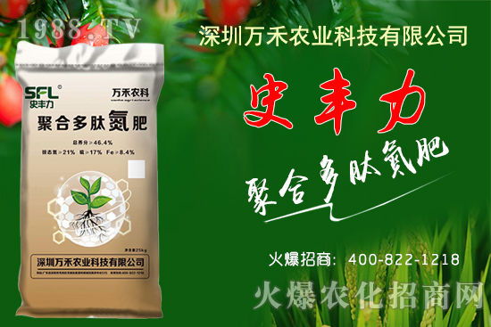 花生價(jià)格每斤高達(dá)6元？2020年10月17日各地花生價(jià)格行情