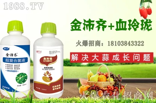     四季石榴生長習(xí)性有哪些，四季石榴栽植技術(shù)及花果期管理！