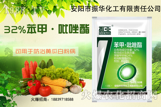 大棚黃瓜白粉病什么藥有用？發(fā)病條件如何避免？