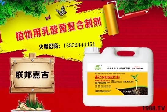 大蔥生長條件有哪些？大蔥需肥特點及秋季管理！